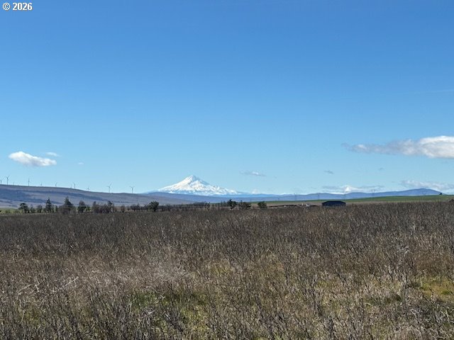 173 Three Spurs Loop Goldendale, WA 98620 - Photo 15 of 17 Gallery Image 15