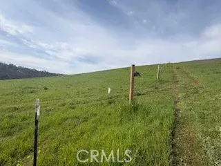 a view of a green field with lots of green space