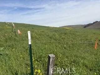 a view of a field with an ocean view