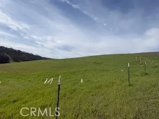 a view of a field with an ocean view