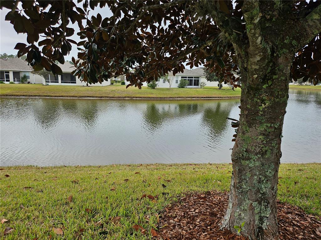 21 Raintree Circle Palm Coast, FL 32164 - Photo 8 of 10 a view of a lake