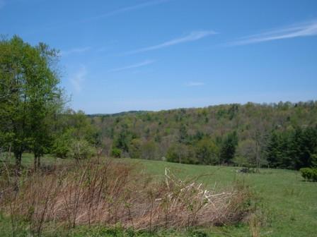 0 Stuart Road Southeast Copper Hill, VA 24079 - Photo 2 of 7 Looking north