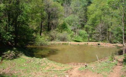 0 Stuart Road Southeast Copper Hill, VA 24079 - Photo 3 of 7 Spring fed pond