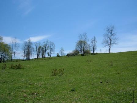 0 Stuart Road Southeast Copper Hill, VA 24079 - Photo 4 of 7 View looking south