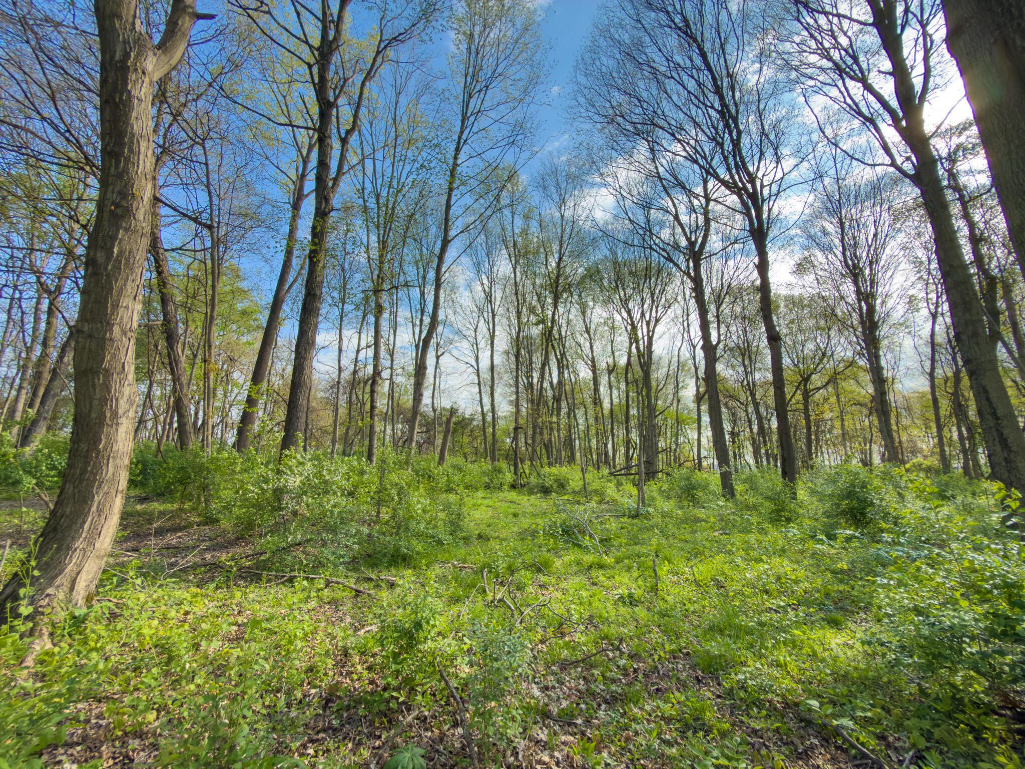 9874 Cincinnati-Zanesville Road Southwest Amanda, OH 43102 - Photo 33 of 50 cinci-zane rd sw-33
