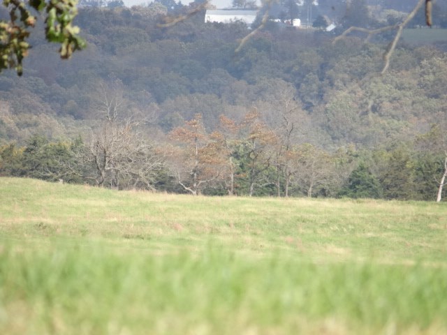 South Bend Road Jefferson City, MO 65101 - Photo 10 of 11