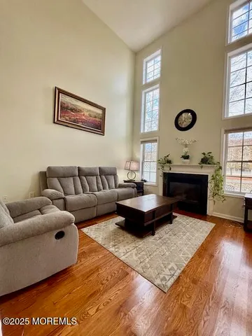 a living room with furniture rug and window