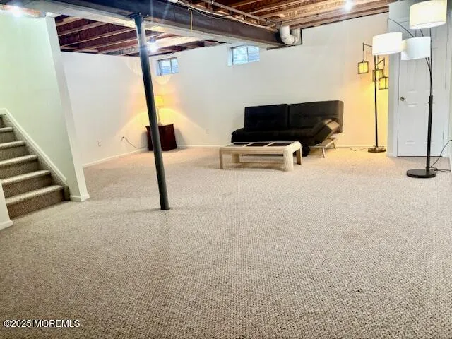 a living room with a couch and a potted plant