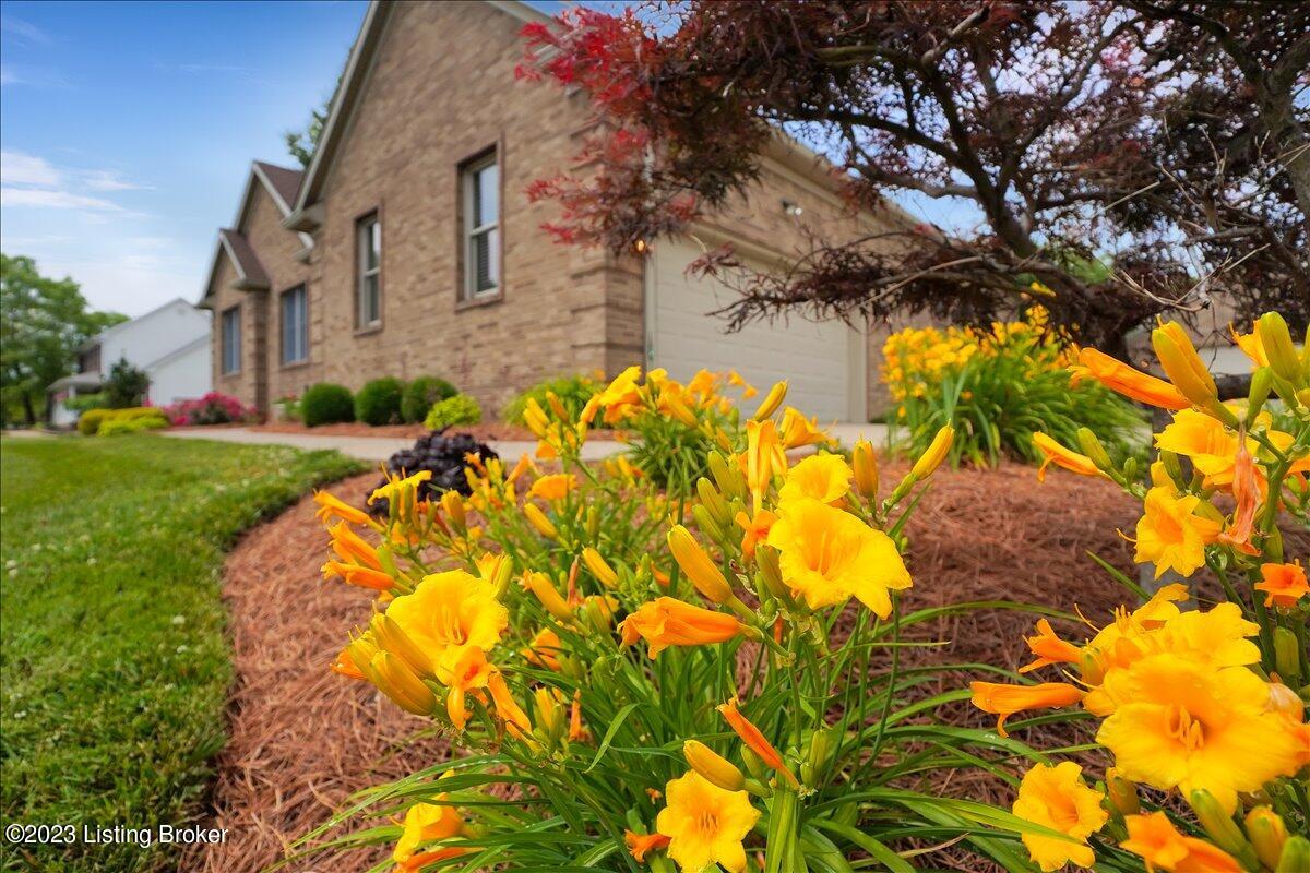5101 Fox Run Road Buckner, KY 40010 - Photo 61 of 62 58-5101 Fox Run Rd-157