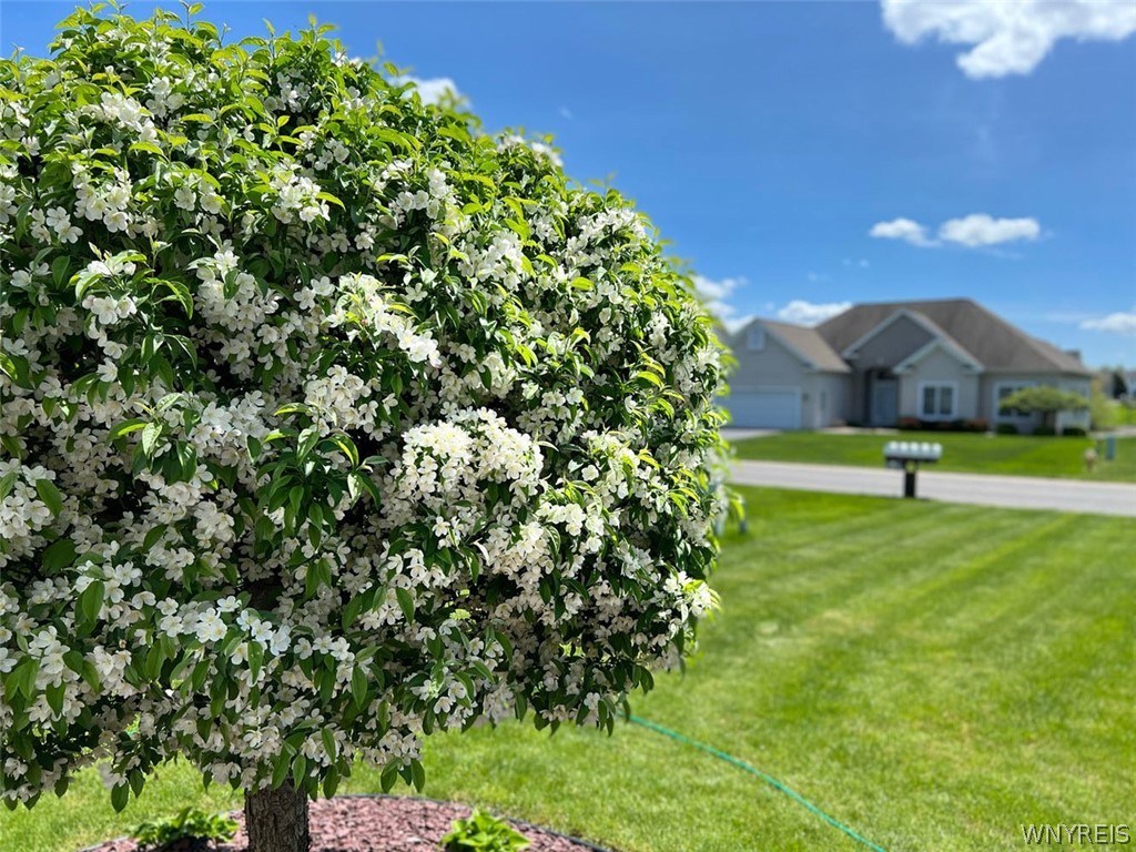 28 Willow Wind Trail Ogden, NY 14624 - Photo 35 of 38 Lovely landscaping features