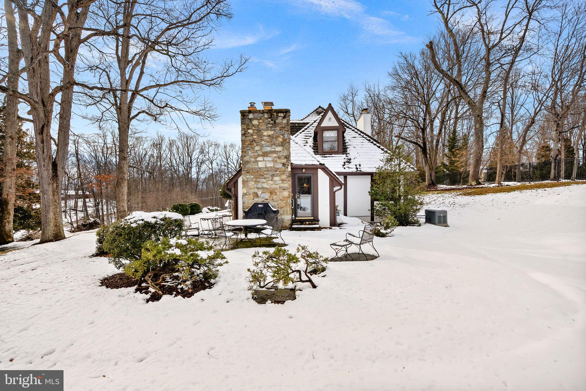 714 Seneca Road Great Falls, VA 22066 - Photo 53 of 58 Side Patio