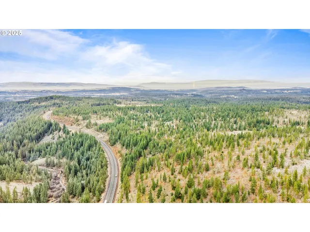 a black and white photo of a green field