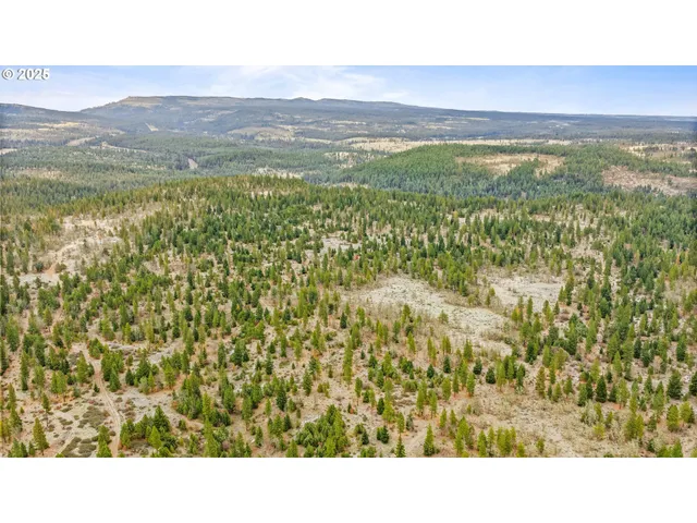 a black and white photo of a city