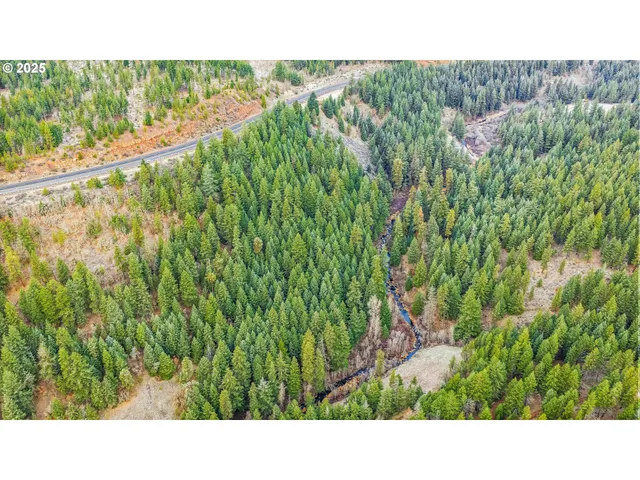a open area with trees in the background