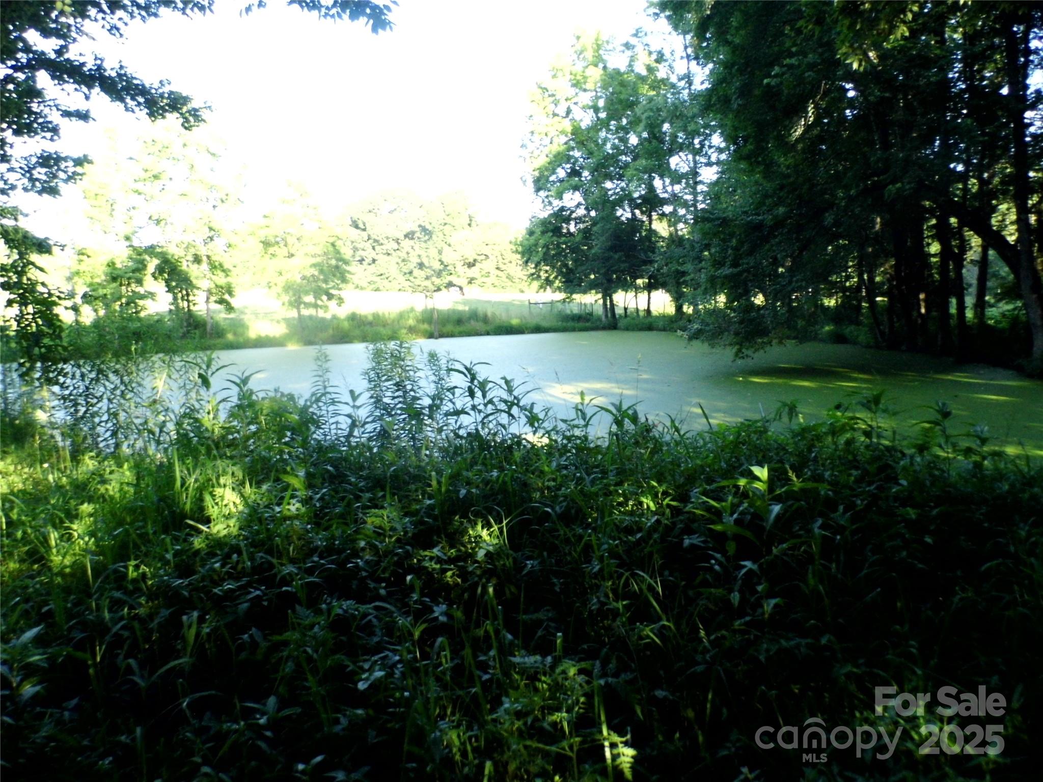 0 Belk Mill Road Wingate, NC 28174 - Photo 3 of 11