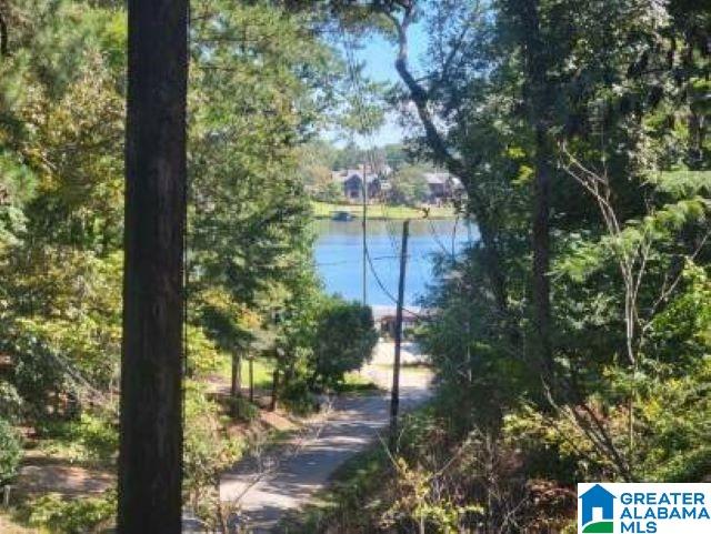 1146 County Road 546 Verbena, AL 36091 - Photo 6 of 32