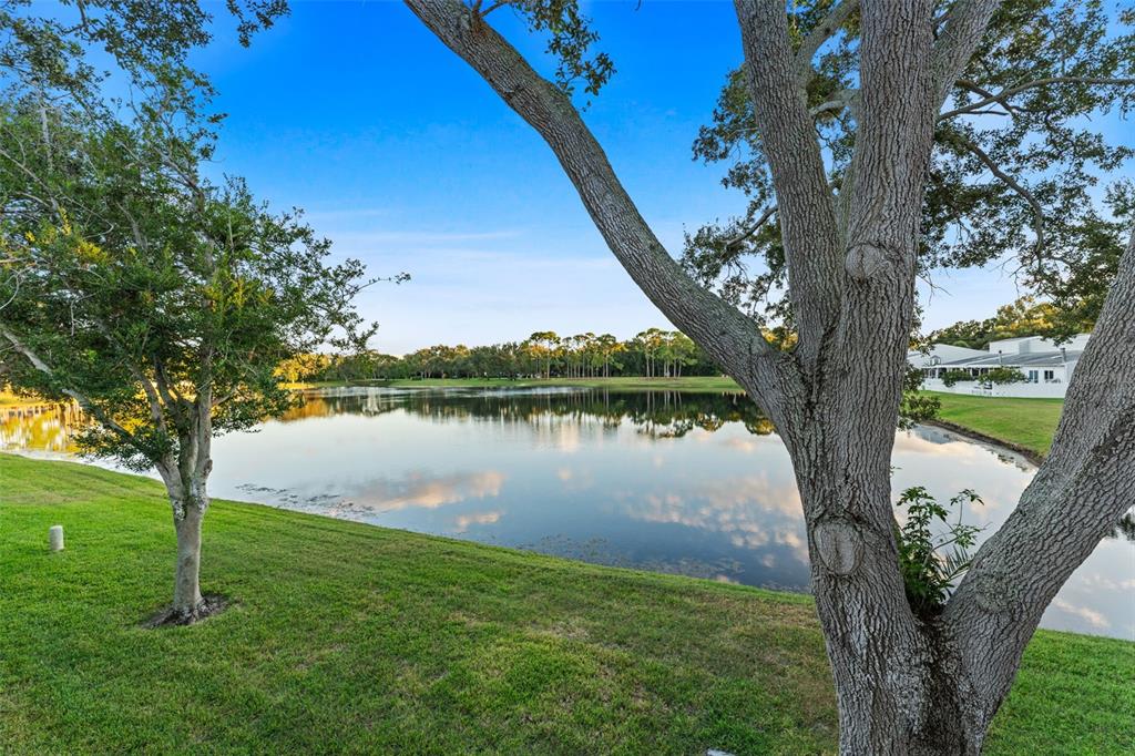 3058 Overlook Place Clearwater, FL 33760 - Photo 36 of 45