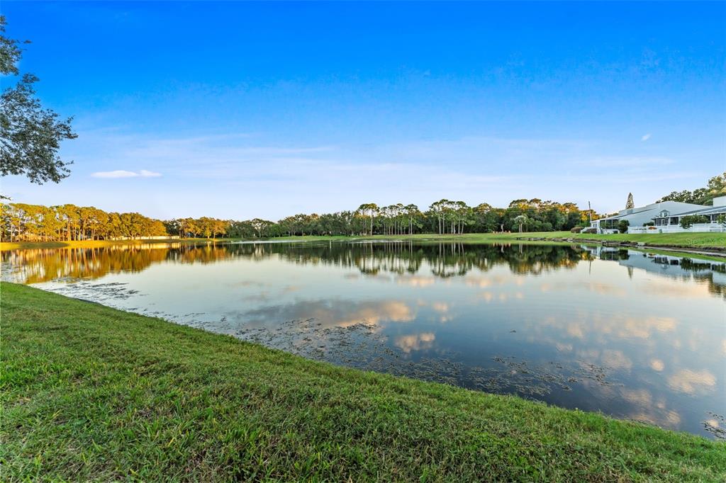 3058 Overlook Place Clearwater, FL 33760 - Photo 5 of 45