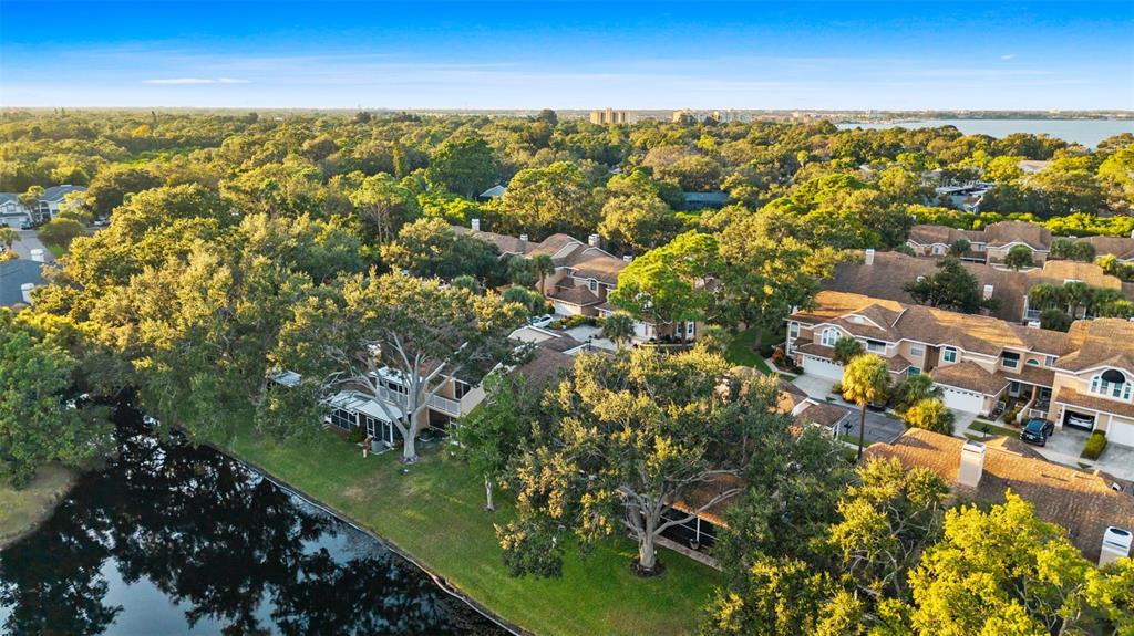 3058 Overlook Place Clearwater, FL 33760 - Photo 6 of 45