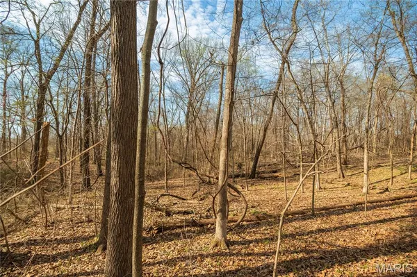 $499,900 | 25097 Highway 25, Bloomfield, MO 63825