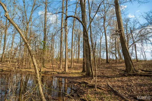 $499,900 | 25097 Highway 25, Bloomfield, MO 63825