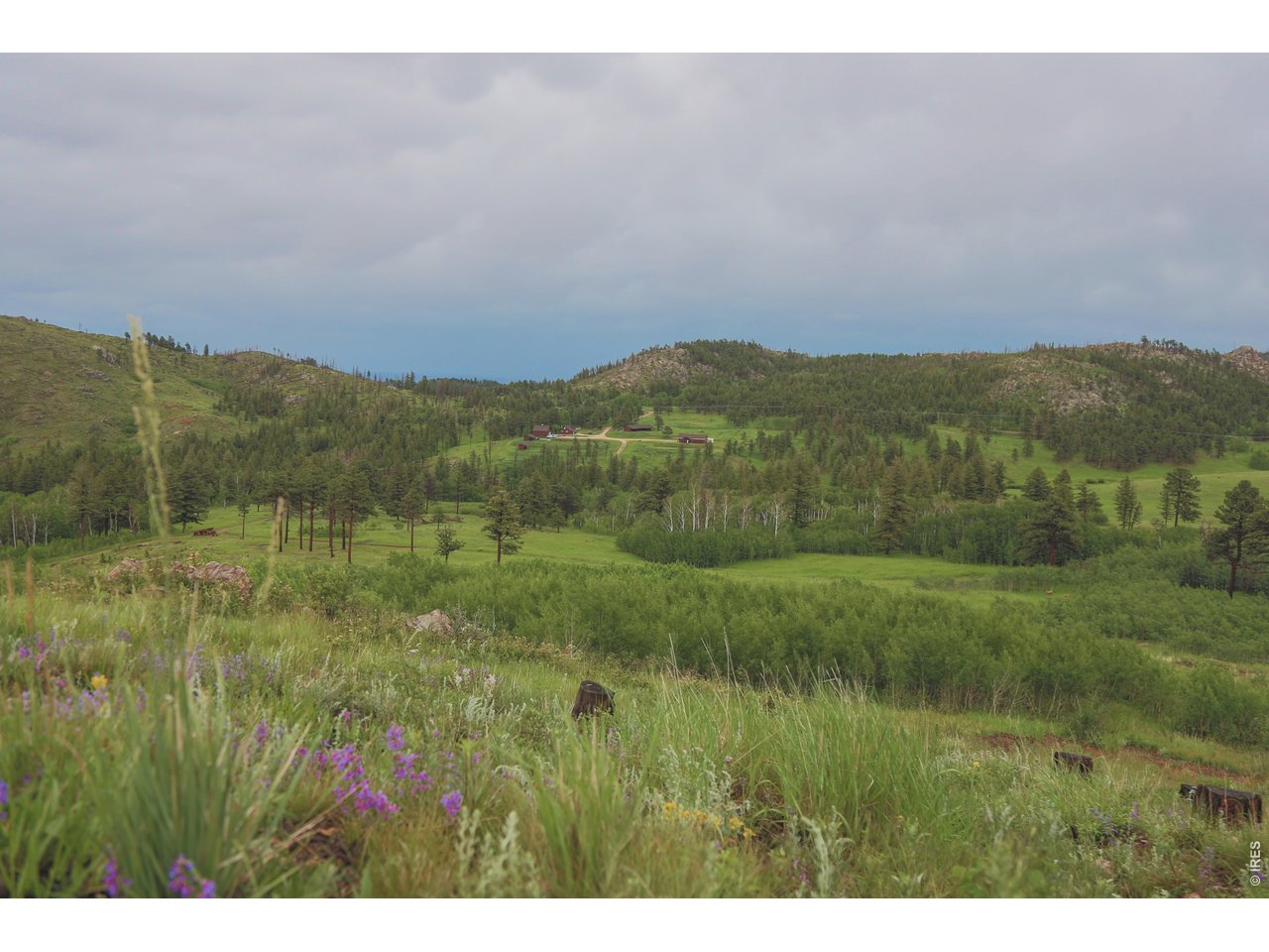 a view of a lush green hillside and a building