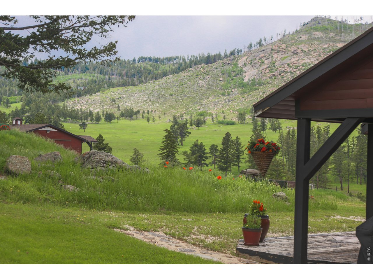 14884 Rist Canyon Road Bellvue, CO 80512 - Photo 22 of 50 a view of a outdoor space