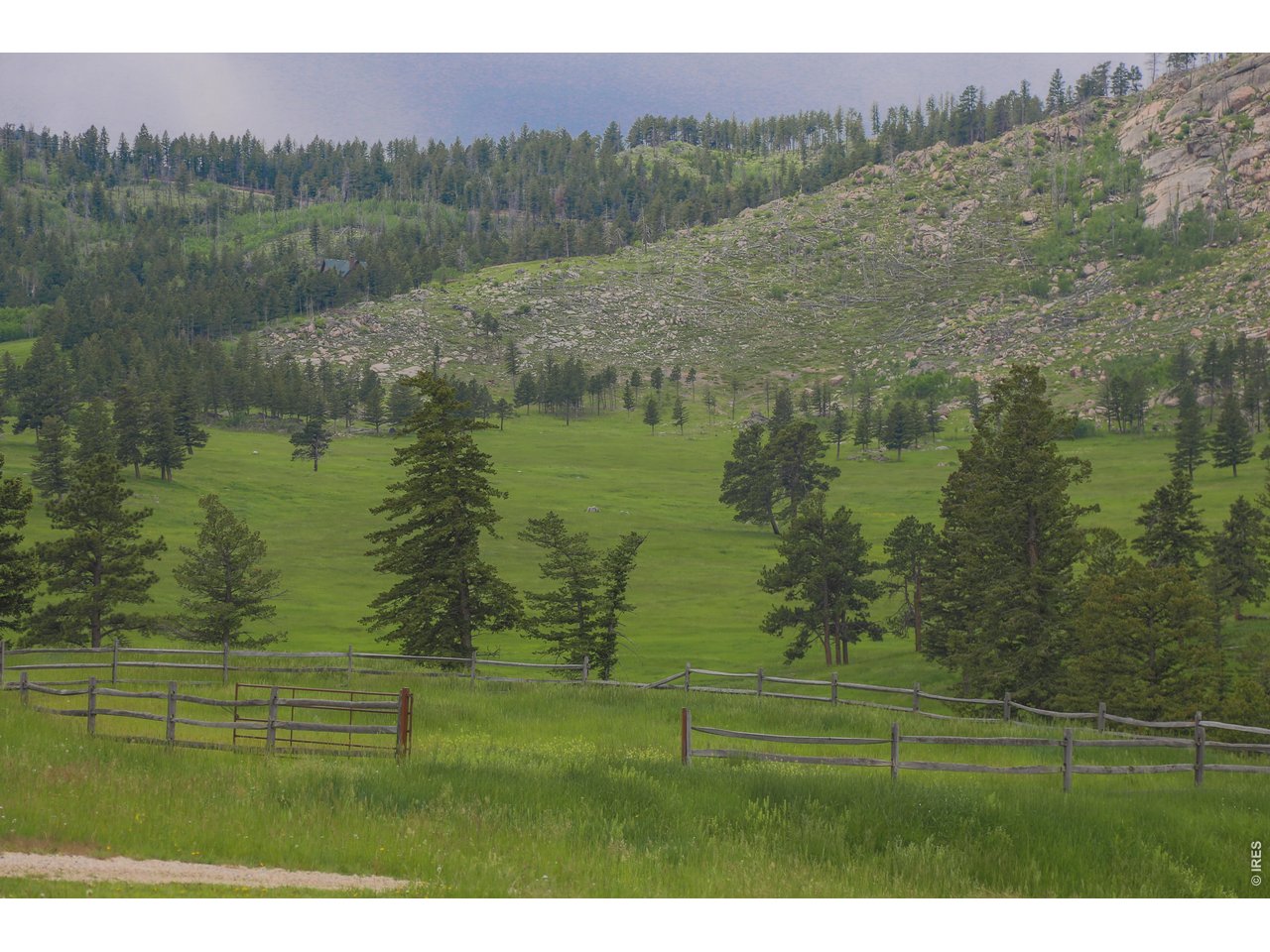 14884 Rist Canyon Road Bellvue, CO 80512 - Photo 25 of 50 a view of a lake with a yard