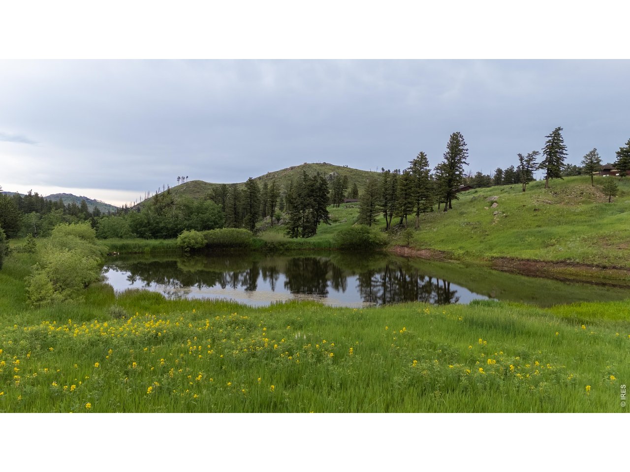 14884 Rist Canyon Road Bellvue, CO 80512 - Photo 28 of 50 a black and white photo of a lake