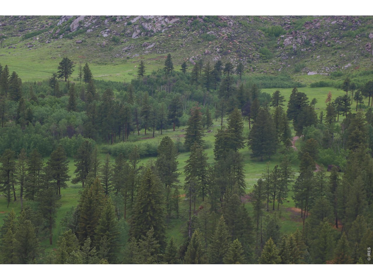14884 Rist Canyon Road Bellvue, CO 80512 - Photo 34 of 50 a view of a lake and green valley