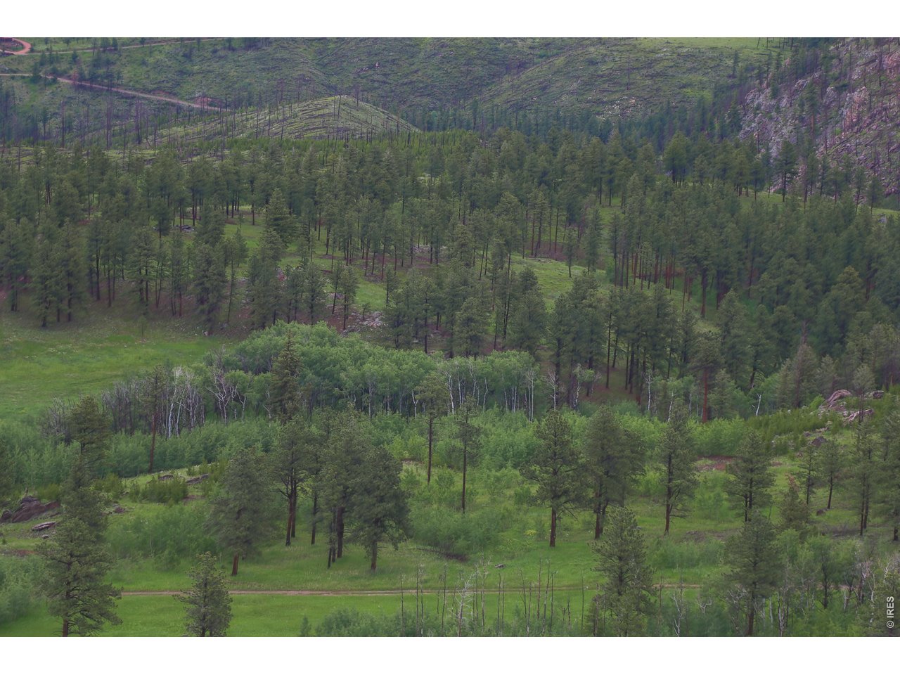 14884 Rist Canyon Road Bellvue, CO 80512 - Photo 35 of 50
