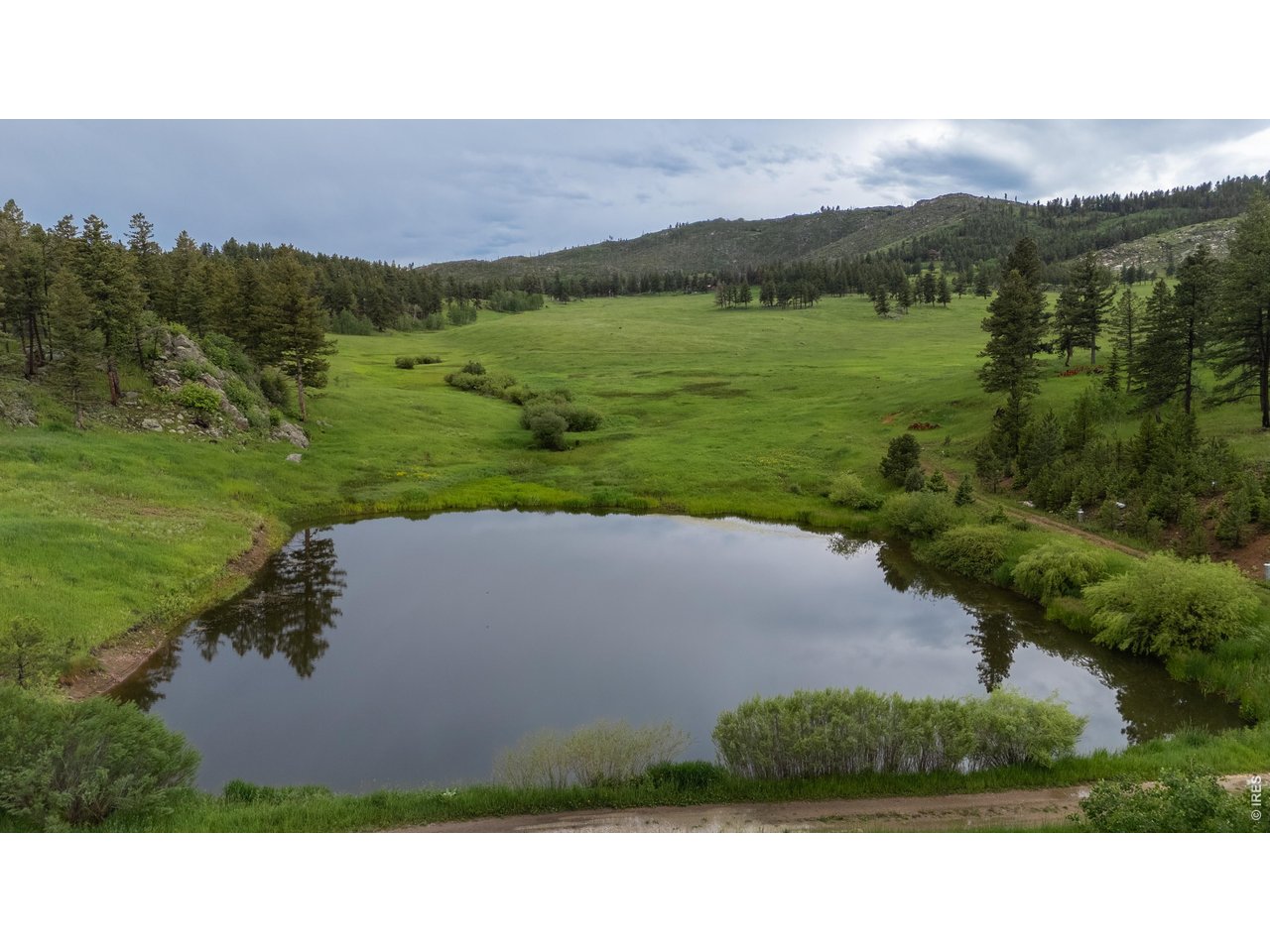 14884 Rist Canyon Road Bellvue, CO 80512 - Photo 4 of 50 a view of a grassy area with an ocean