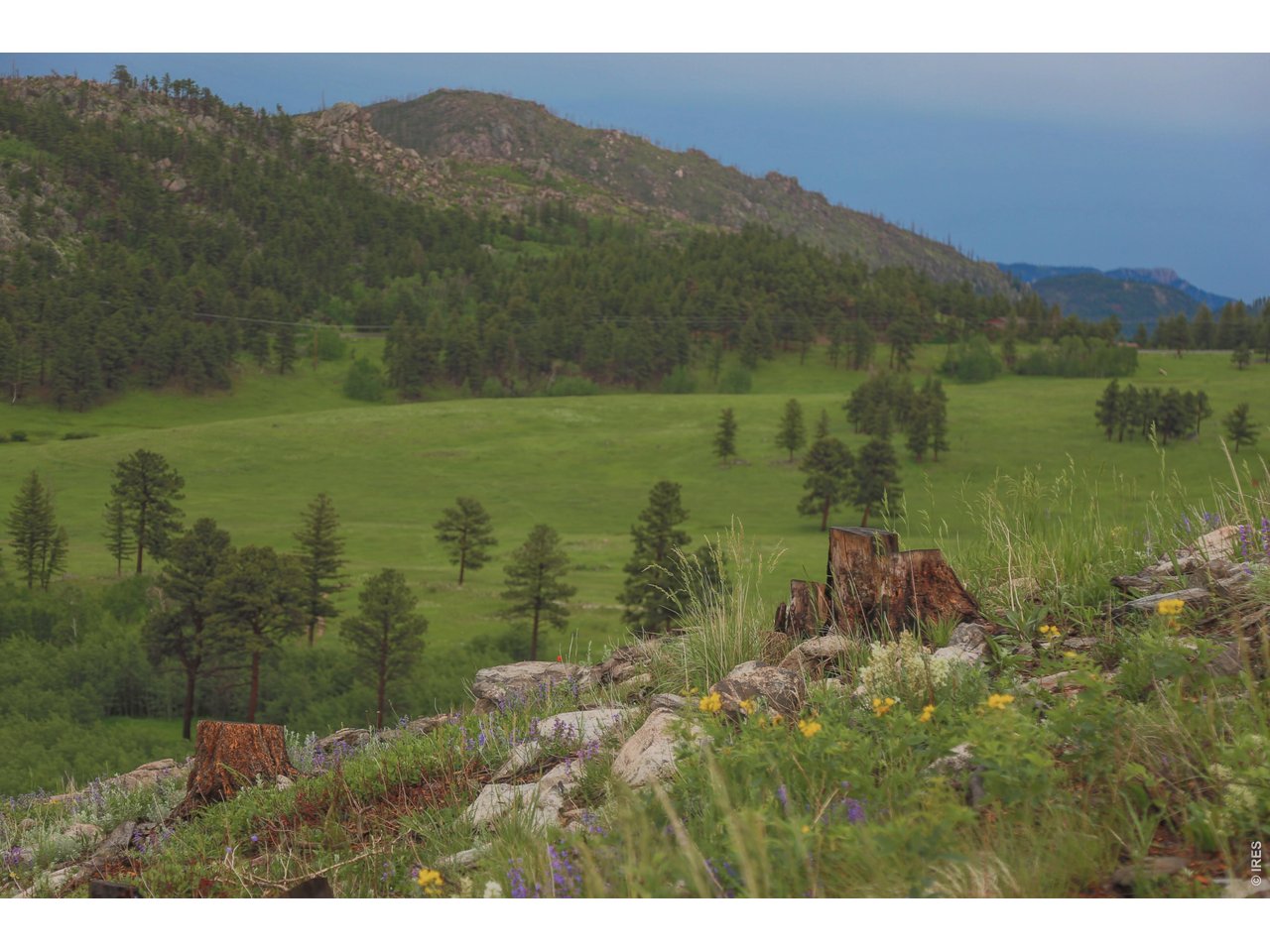 14884 Rist Canyon Road Bellvue, CO 80512 - Photo 43 of 50 a view of lake with mountain