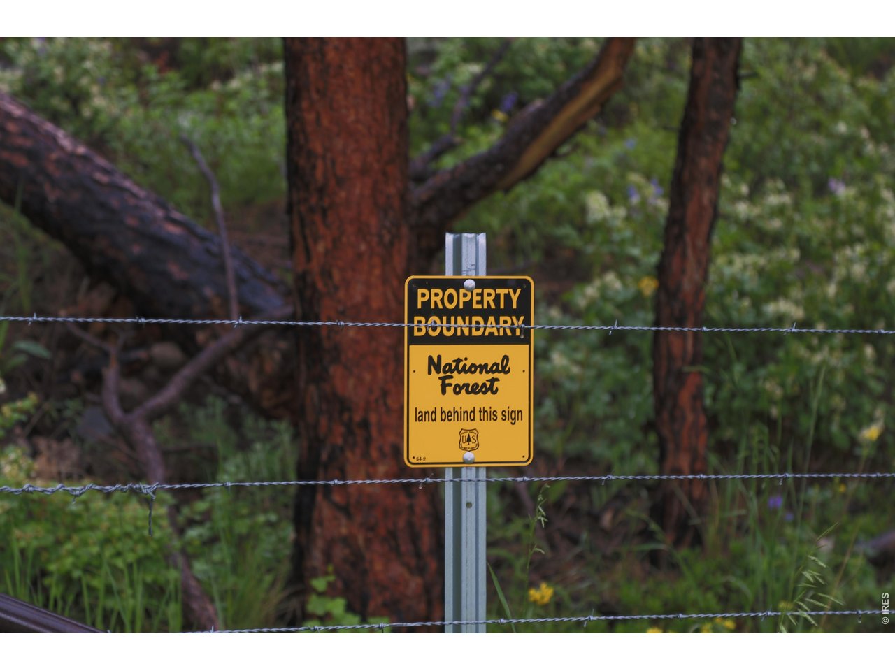14884 Rist Canyon Road Bellvue, CO 80512 - Photo 48 of 50 a view of a sign in a park