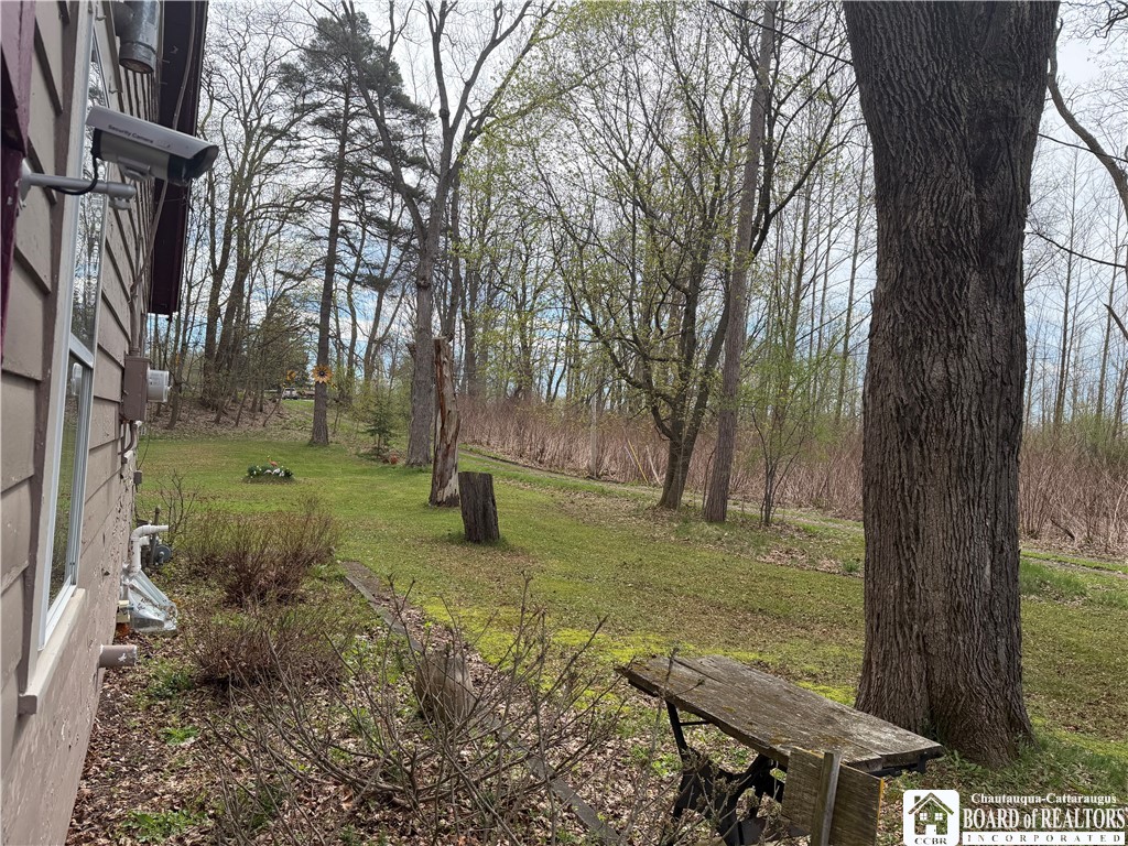 3261 Riverside Drive Scio, NY 14895 - Photo 10 of 32