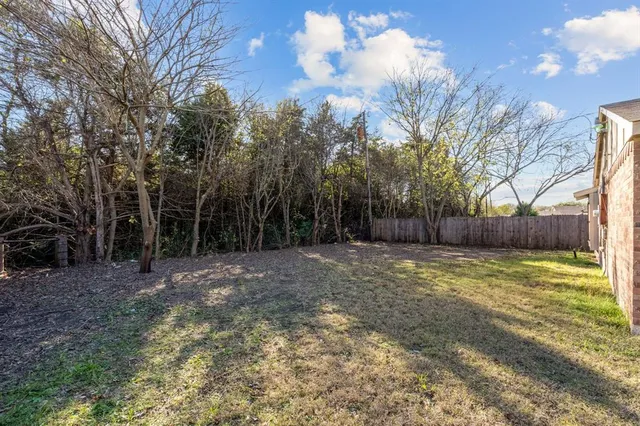 a view of a yard with a tree