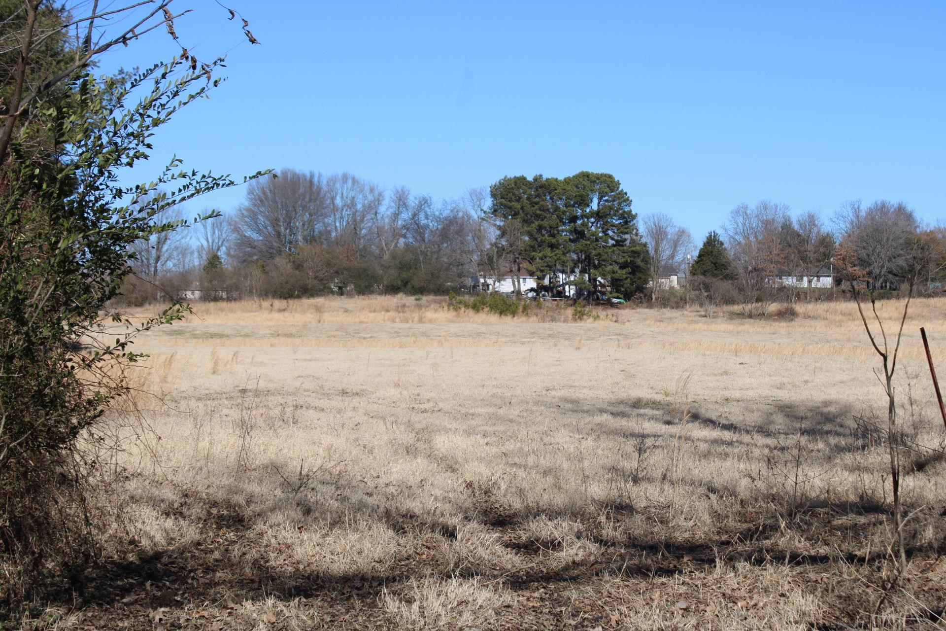 482 Chisholm Lake Road Ripley, TN 38063 - Photo 8 of 14