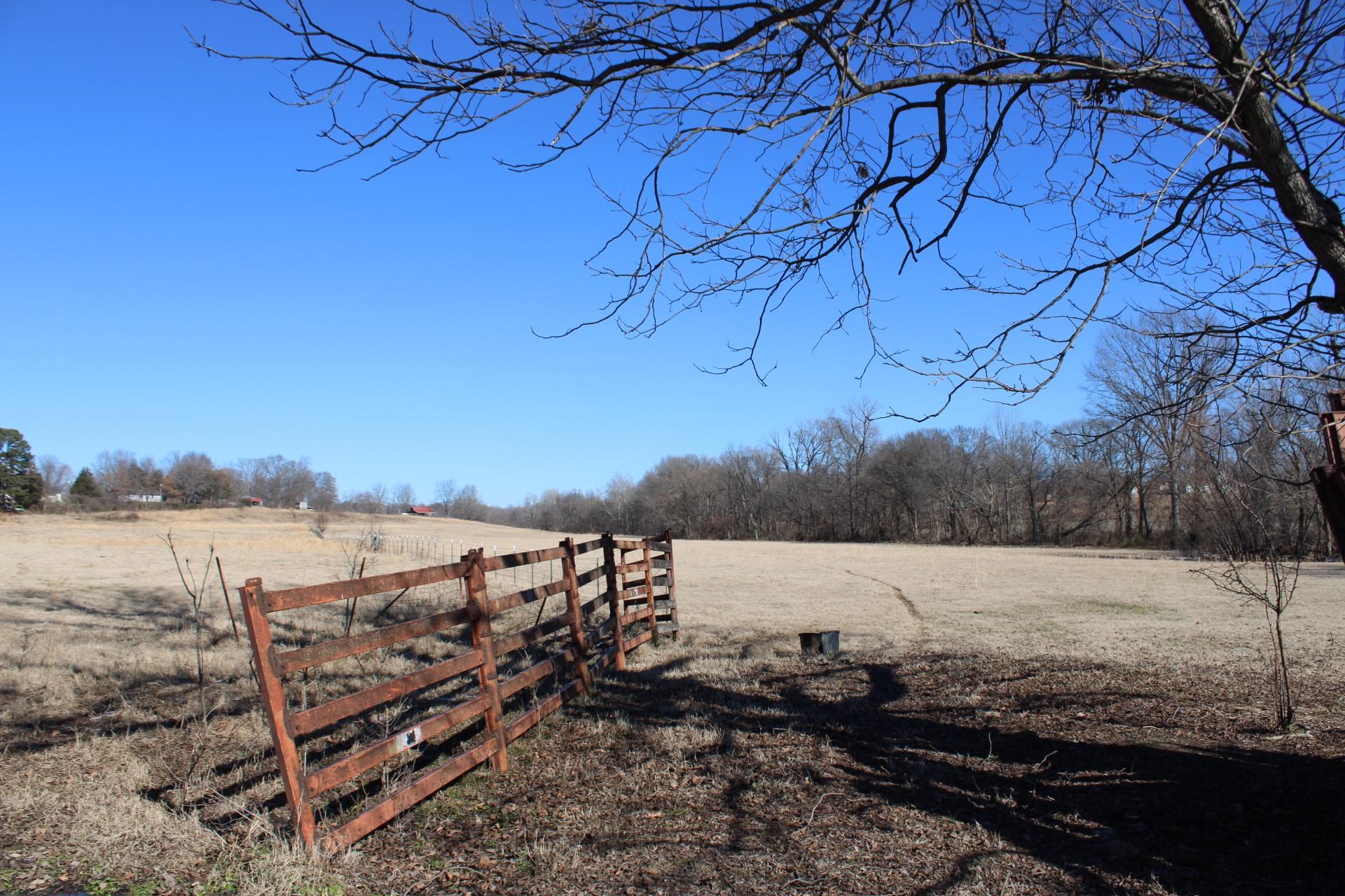 482 Chisholm Lake Road Ripley, TN 38063 - Photo 9 of 14