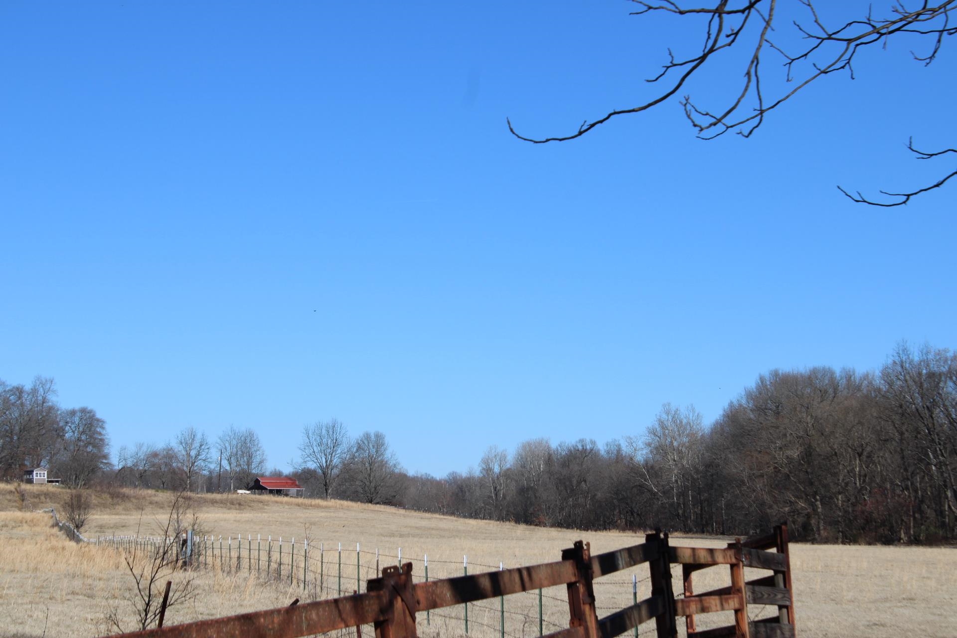 482 Chisholm Lake Road Ripley, TN 38063 - Photo 10 of 14