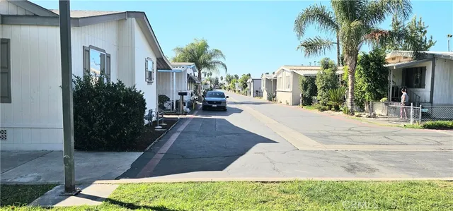 a row of palm trees in front of house