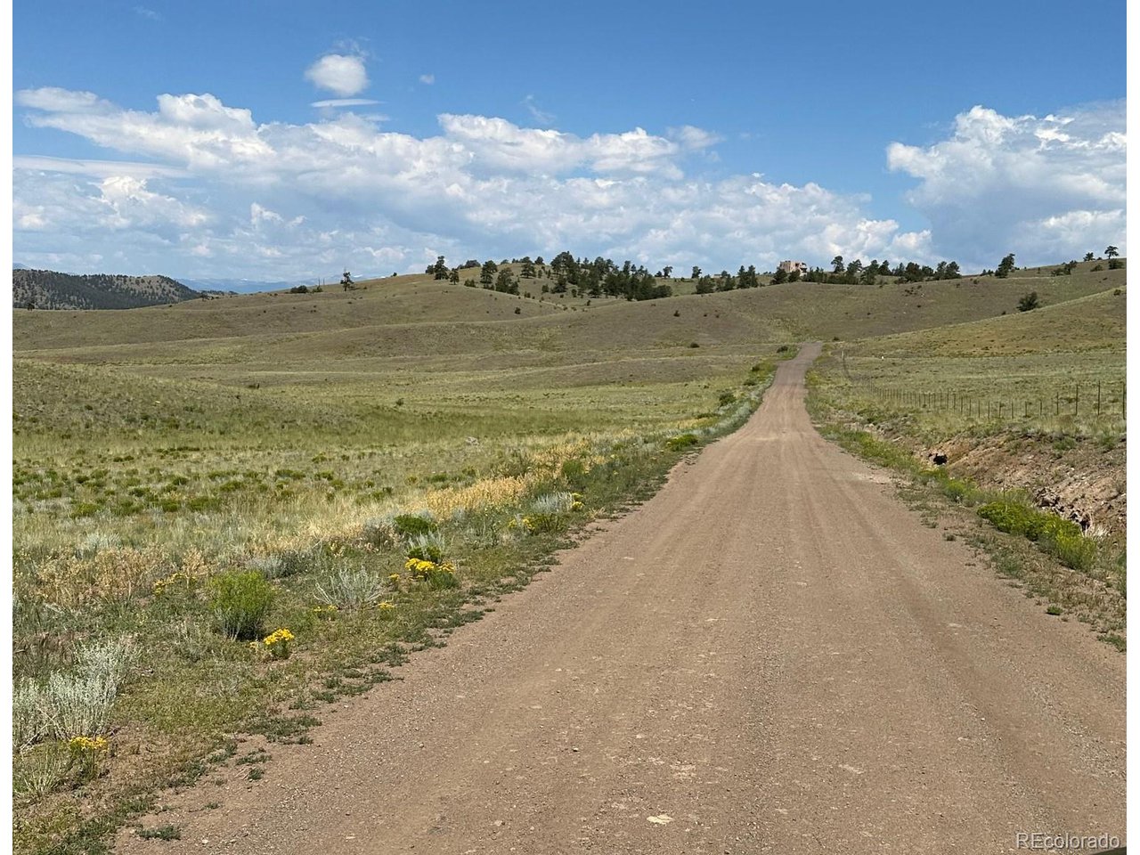 26 Wolfe Road Hartsel, CO 80449 - Photo 6 of 6