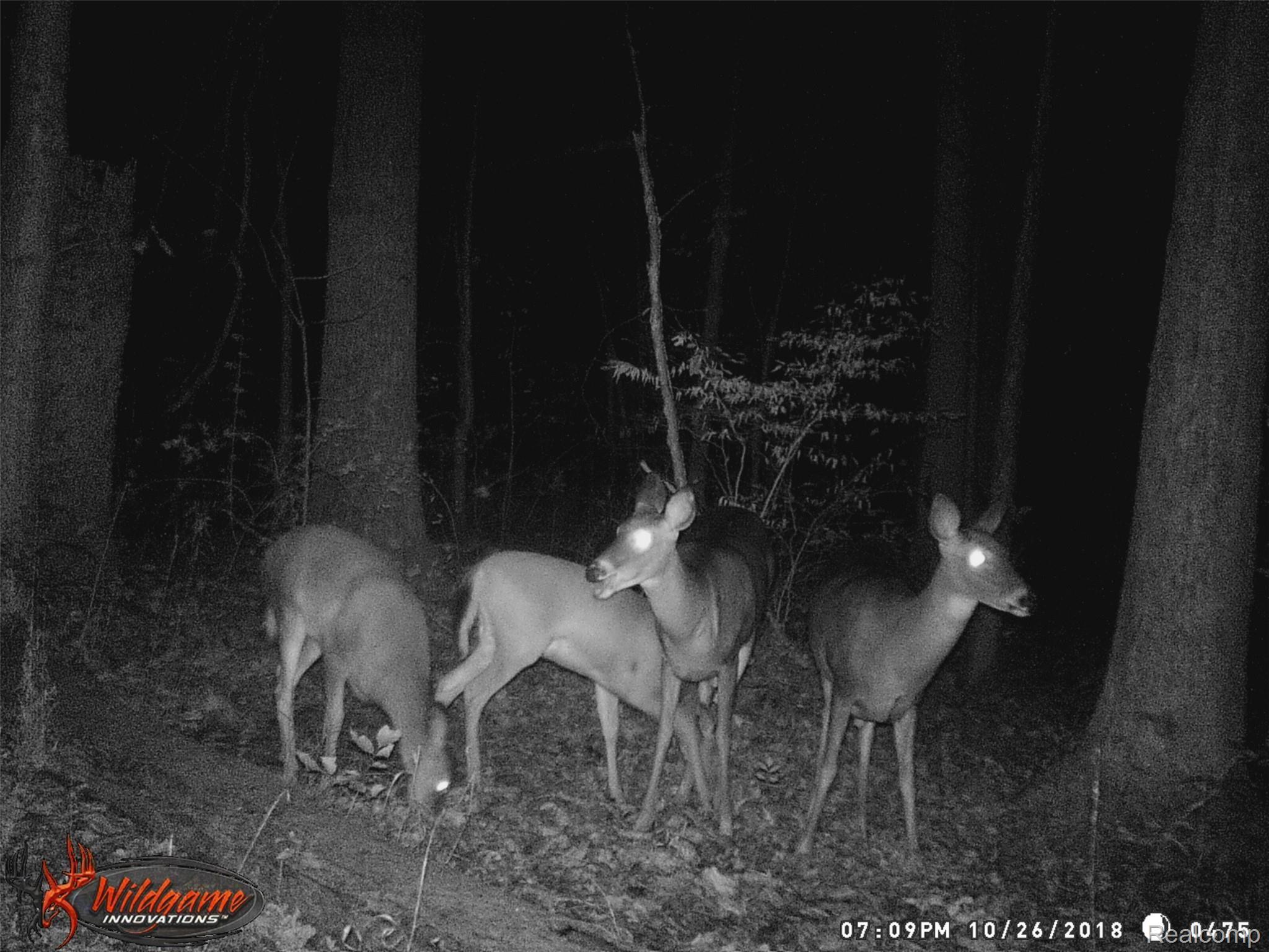 5672 Hessen Road Casco, MI 48064 - Photo 38 of 52 WGI_0475 (2).jpg