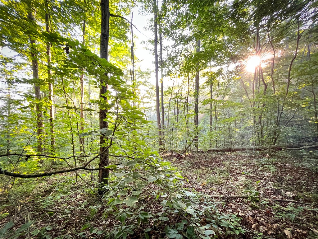 Williams Road Candor, NY 13743 - Photo 11 of 34