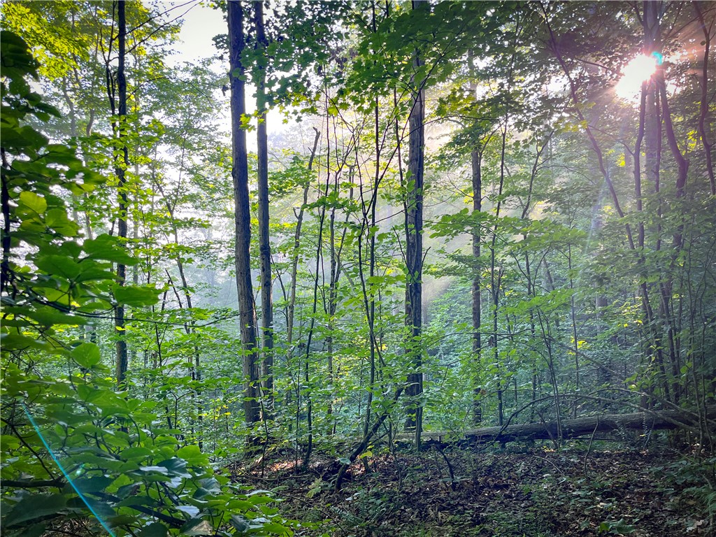 Williams Road Candor, NY 13743 - Photo 12 of 34