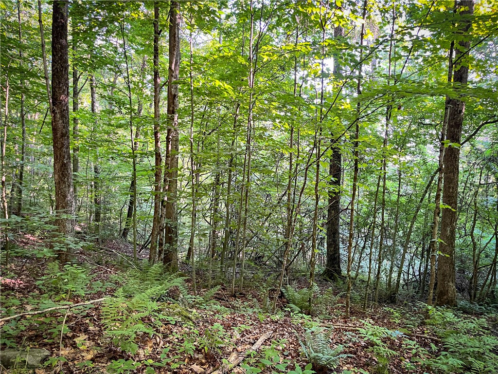 Williams Road Candor, NY 13743 - Photo 13 of 34