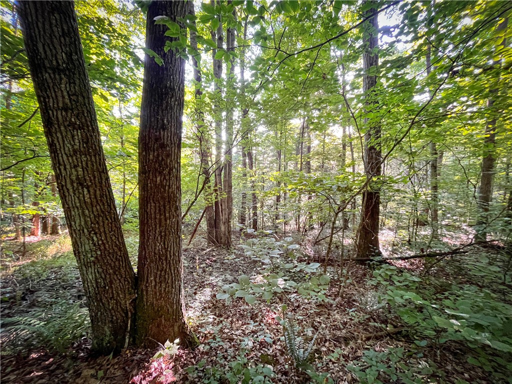 Williams Road Candor, NY 13743 - Photo 14 of 34