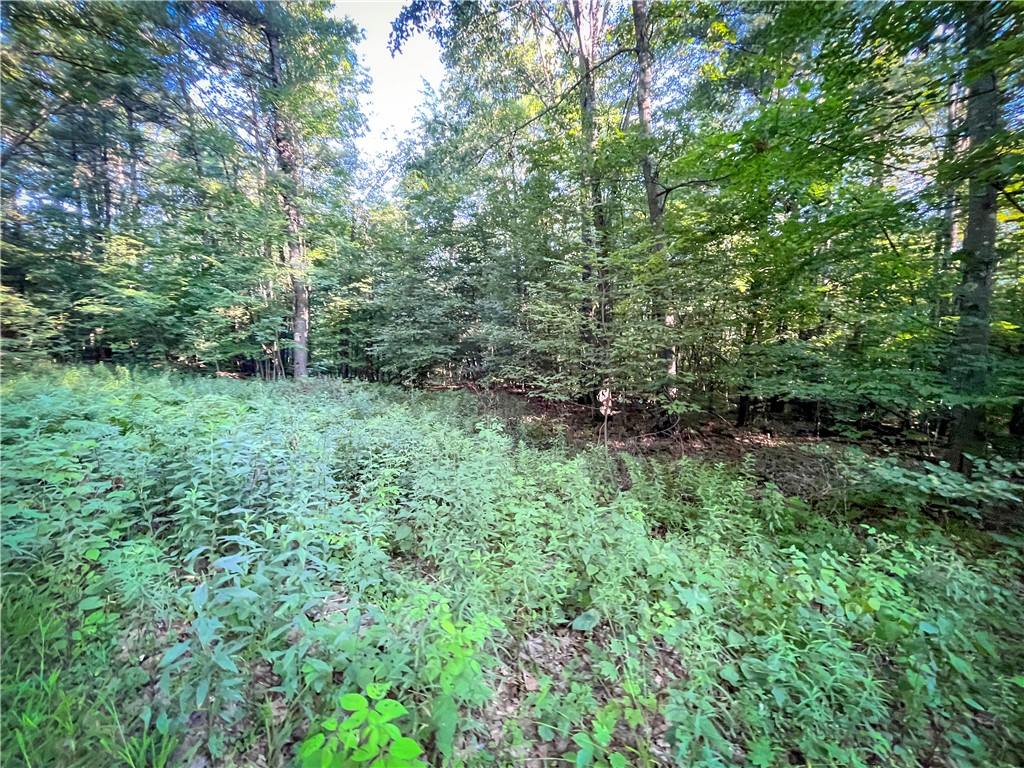 Williams Road Candor, NY 13743 - Photo 17 of 34