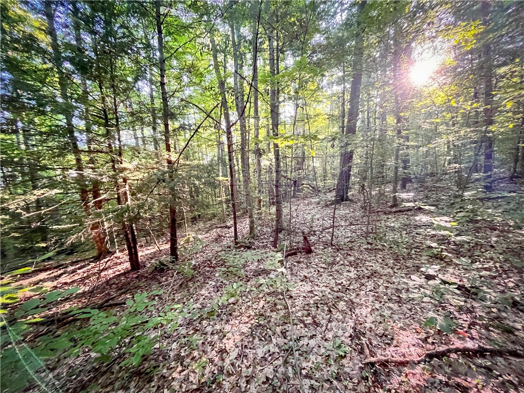 Williams Road Candor, NY 13743 - Photo 19 of 34