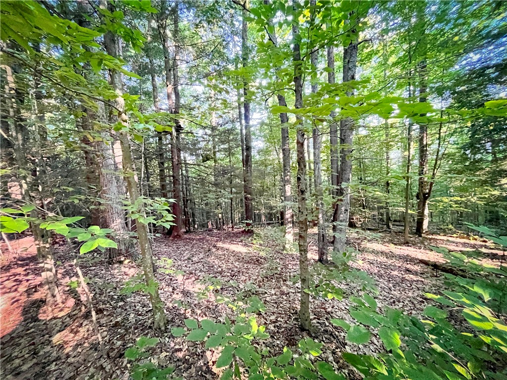 Williams Road Candor, NY 13743 - Photo 20 of 34