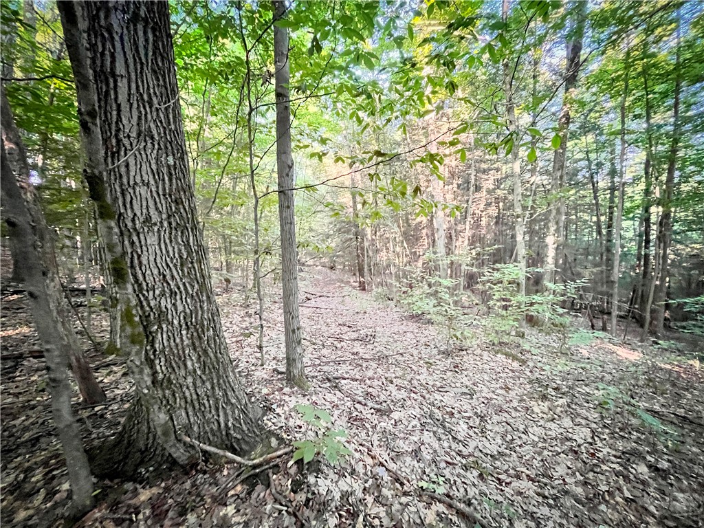 Williams Road Candor, NY 13743 - Photo 21 of 34